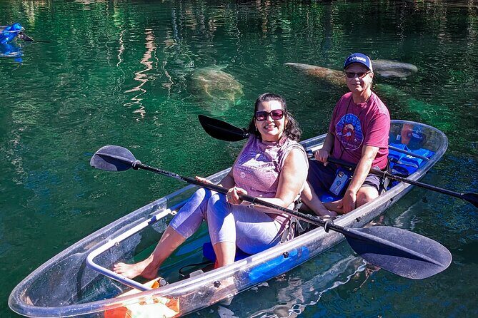 Weeki Wachee Clear Kayak Ecotours Manatee Season - November 14th-March 31st - The Sum Up