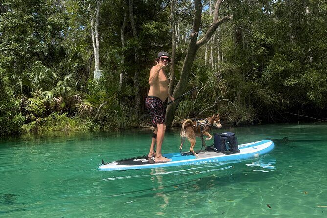 Weeki Wachee Springs Guided Paddleboard Tour with Your Pet - Key Points