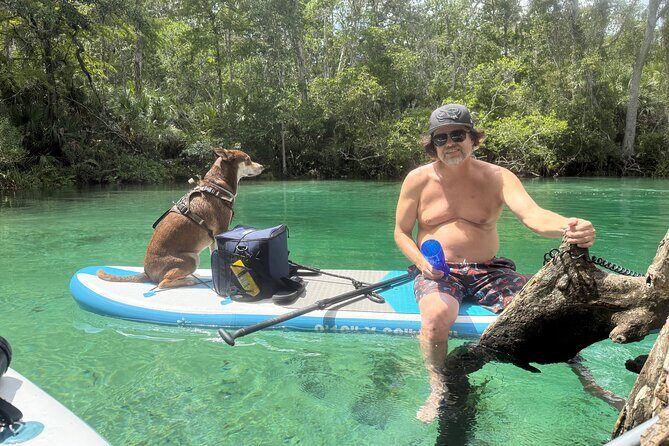 Weeki Wachee Springs Guided Paddleboard Tour with Your Pet - Who Should Consider This Tour?
