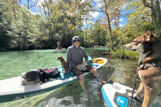 Weeki Wachee Springs Guided Paddleboard Tour with Your Pet - The Sum Up