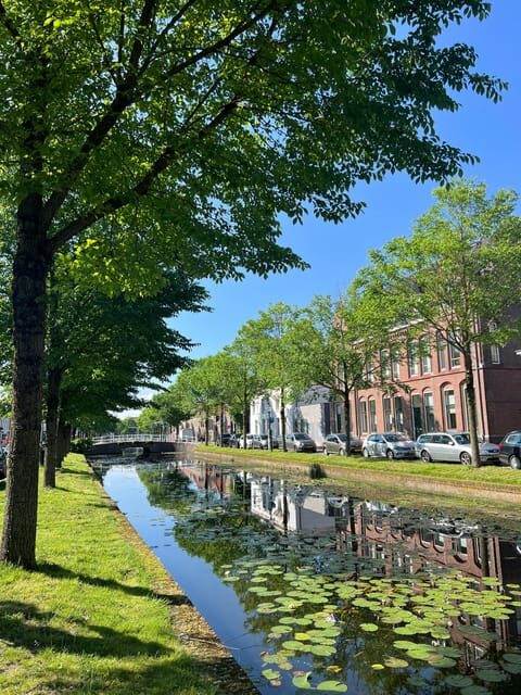 Weesp: Guided Walking Tour - The Sum Up