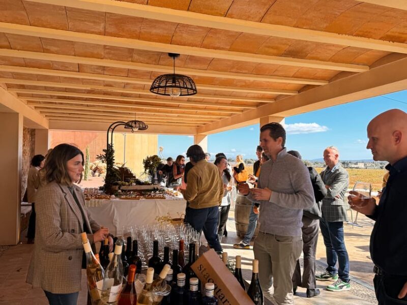 Weinsonntag auf Mallorca - The Itinerary: What to Expect