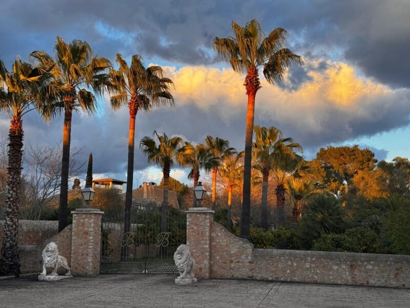 Weinsonntag auf Mallorca - The Value of the Experience