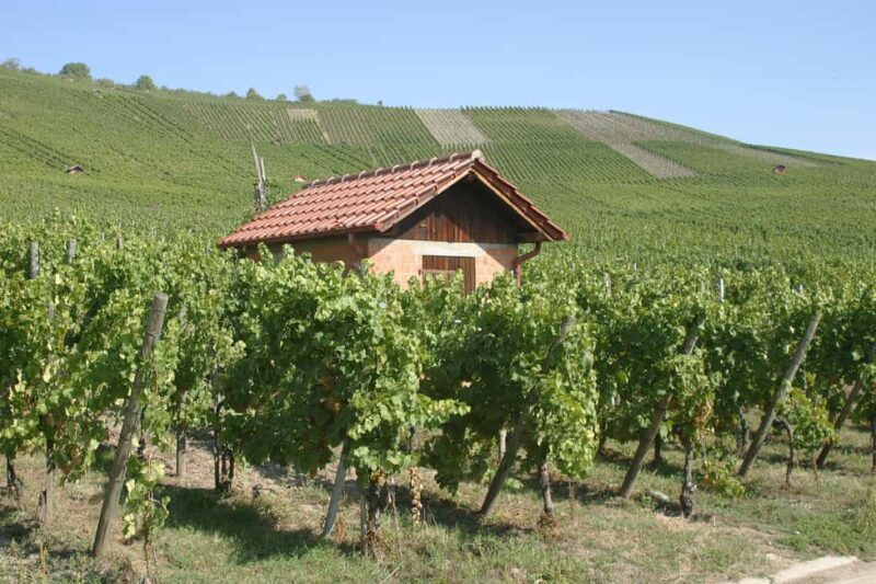 Weinstadt: 6-wine tasting with bread, water, and a discount on your favorite wine - FAQ
