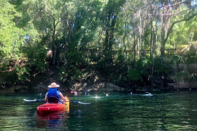 Wekiva River Guided Kayak Tour - Wekiva River Guided Kayak Tour: A Natural Escape Close to Orlando