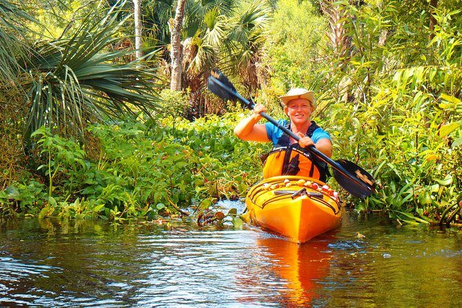Wekiva River Guided Kayak Tour - Key Points