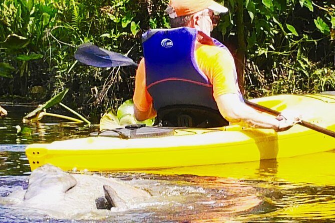 Wekiva River Guided Kayak Tour - The Value of the Experience