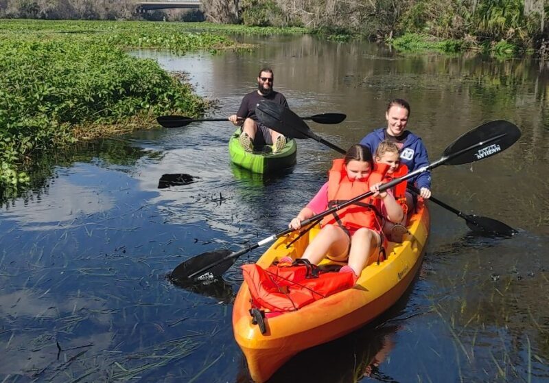 Wekiva Wildlife kayaking Adventure Tour - Wekiva Wildlife Kayaking Adventure Tour: A Close-Up Look at Florida’s Natural Heart
