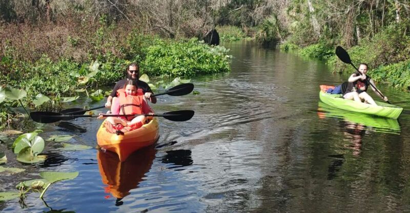 Wekiva Wildlife kayaking Adventure Tour - Key Points