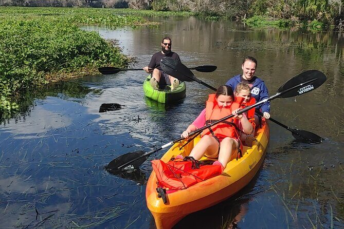 Wekiva Wildlife Kayaking Adventure Tour - A Detailed Look at the Wekiva Wildlife Kayaking Adventure