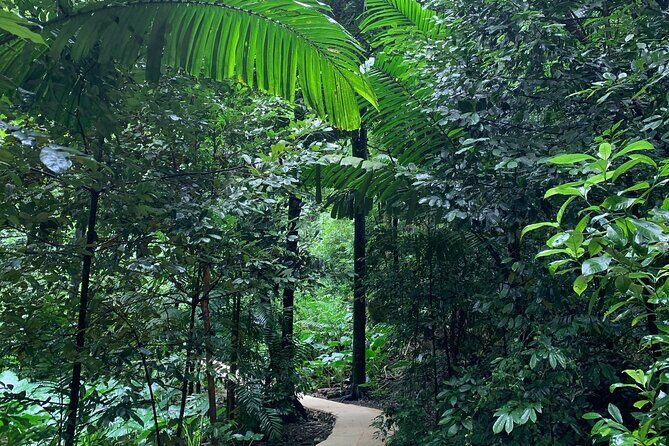 Welchman Hall Gully, Huntes Garden and Peg Farm Family Day - FAQ