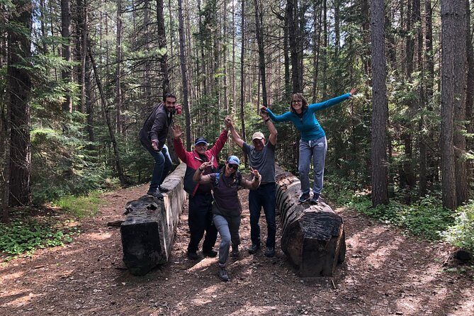 Welcome To Camping At Algonquin Park (2 Day) - Final Thoughts: Is This Tour for You?