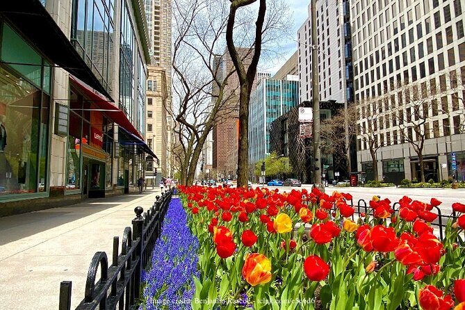 Welcome to Chicago: Private Half-Day Tour with 360 Observation Deck - Who Should Consider This Tour?