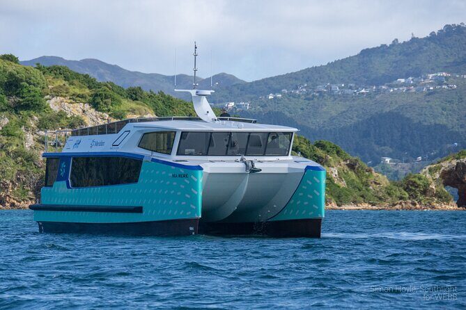 Wellington 90 minute Harbour Cruise - What the Guides Share