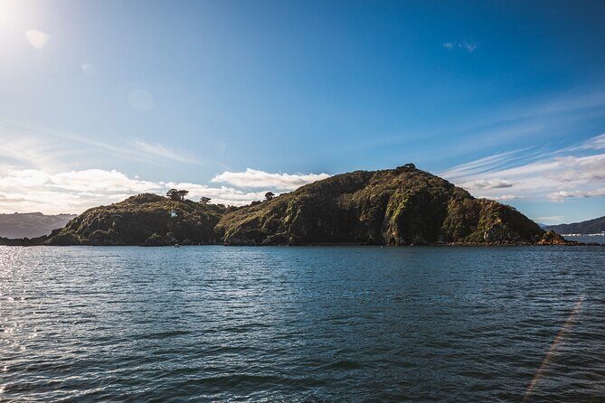 Wellington 90 minute Harbour Cruise - Environmental and Practical Benefits