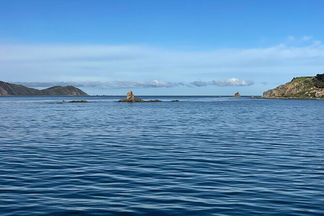 Wellington 90 minute Harbour Cruise - Wellington Harbour Overview