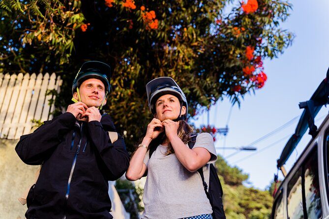 Wellington Bike Rental - Key Points