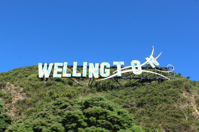 Wellington City and Sea: Private Tour in Electric Tesla SUV - Final Thoughts