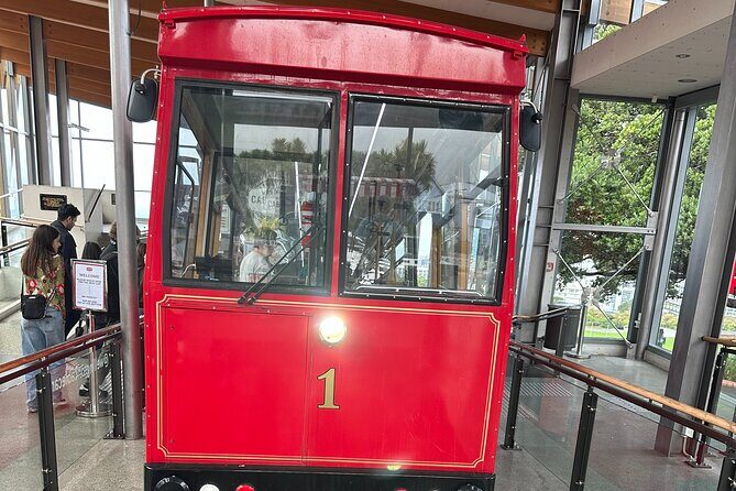 Wellington city heights shared sightseeing tour - Who Should Consider This Tour?