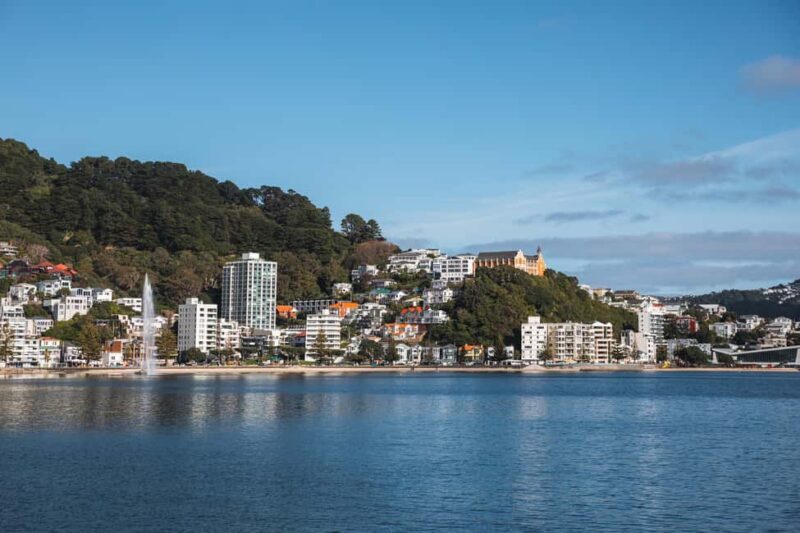 Wellington: Commentated Harbour Explorer tour - Key Points