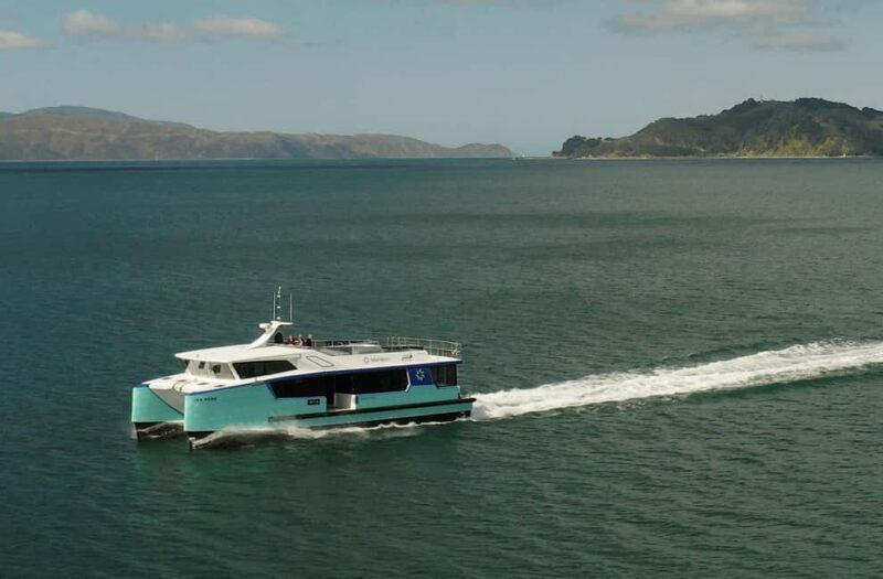 Wellington: Commentated Harbour Explorer tour - Starting Point and Duration