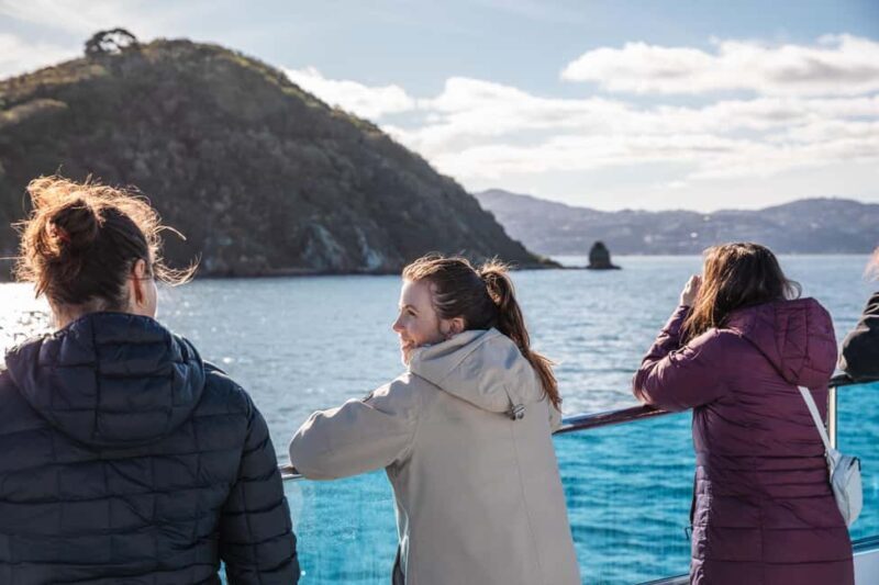 Wellington: Commentated Harbour Explorer tour - Considerations and Limitations
