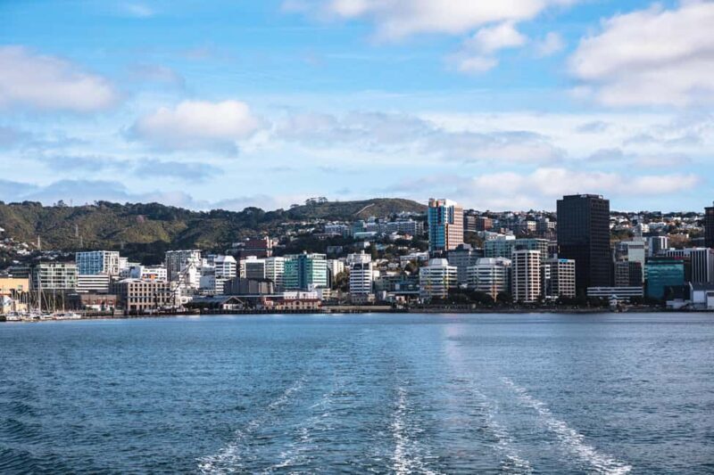 Wellington: Commentated Harbour Explorer tour - Who Should Take This Tour?