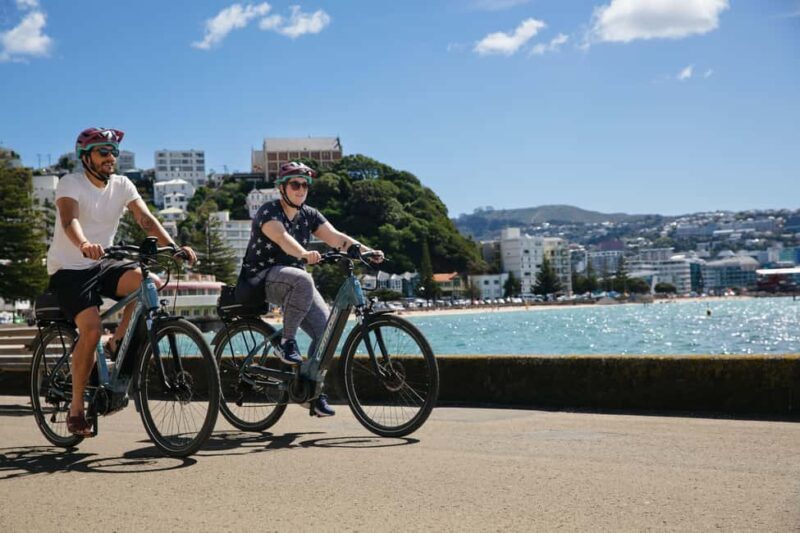 Wellington: Easy Rider Guided eBike Tour - Wellington: Easy Rider Guided eBike Tour