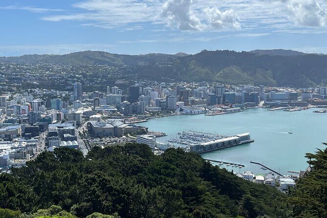 Wellington Full Day Private Tour in Electric Tesla SUV - Wellington Full Day Private Tour in Electric Tesla SUV
