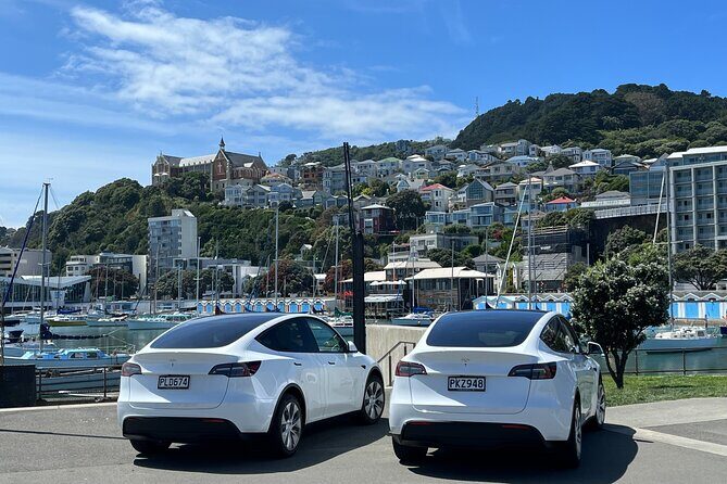 Wellington Full Day Private Tour in Electric Tesla SUV - Unique Aspects of the Tesla SUV Experience
