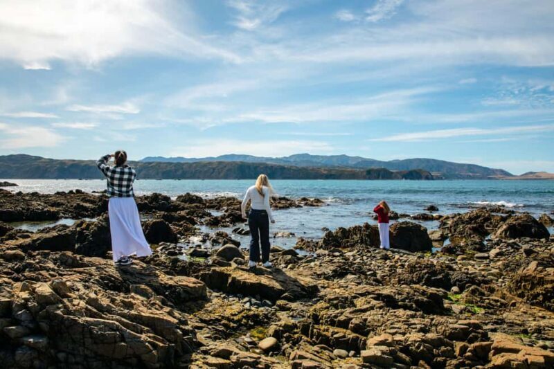Wellington: Guided City Tour with Cable Car Ticket - Authentic Reviews and What Travelers Say