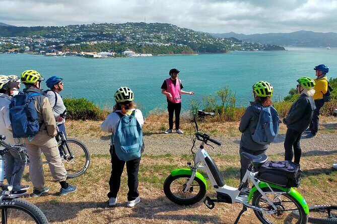 Wellington Guided eBike Tour-Cruise Shore Excursion - Wellington Guided eBike Tour-Cruise Shore Excursion: A Practical, Pleasurable Way to See New Zealand’s Capital