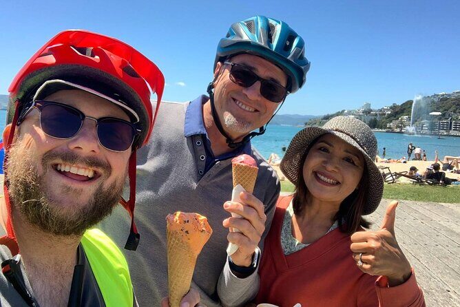 Wellington Guided eBike Tour-Cruise Shore Excursion - Key Points