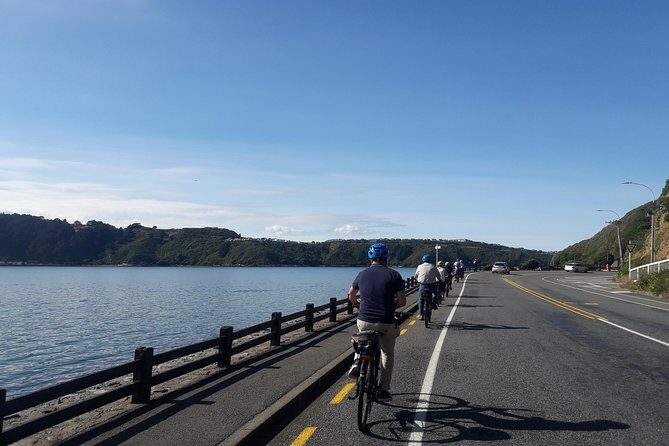 Wellington Guided eBike Tour-Cruise Shore Excursion - FAQs