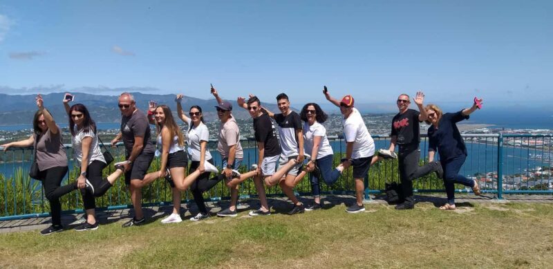 Wellington: Half-Day City Highlights Tour and Cable Car Ride - An In-Depth Look at the Tour Experience