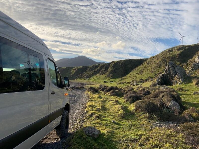 Wellington: Half Day Seal Coast Safari - FAQ