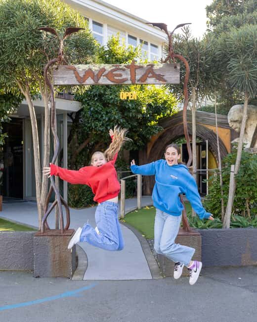 Wellington: Highlights Tour with a Local Guide - What to Expect During the Tour