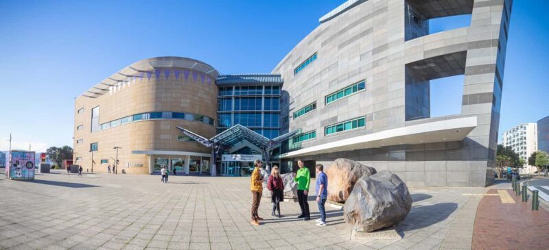 Wellington: Museum of NZ General Admission - What to Expect When Visiting Te Papa