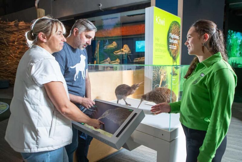 Wellington: Museum of NZ Guided Tour & General Admission - A Deep Dive into the Museum of New Zealand Te Papa Tongarewa Experience