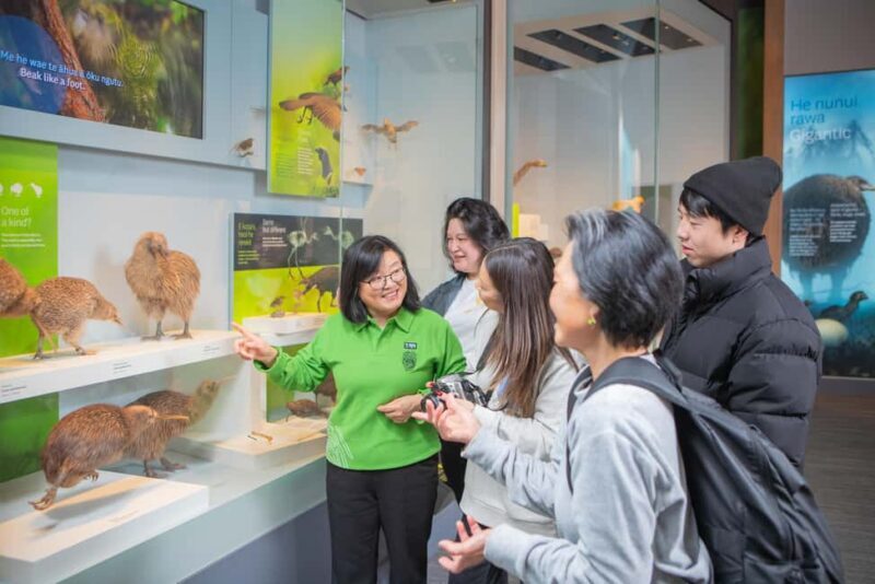 Wellington: Museum of NZ Guided Tour & General Admission - Practical Details and Tips
