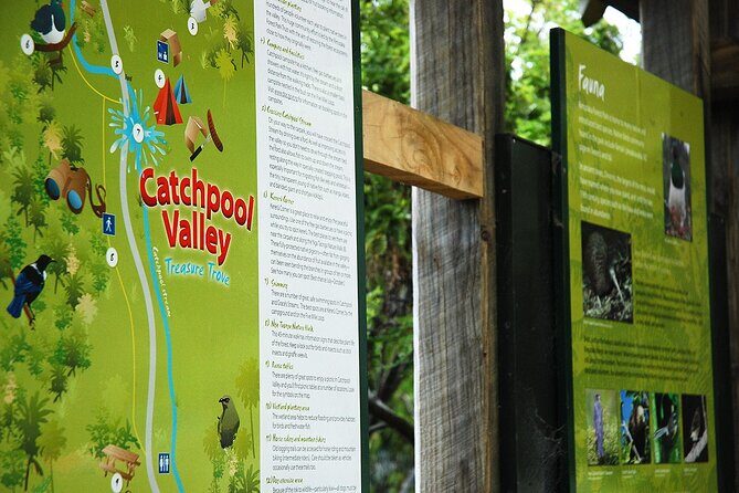 Wellington Native Bush Walking Tour - Exploring the Wellington Native Bush Walking Tour in Detail