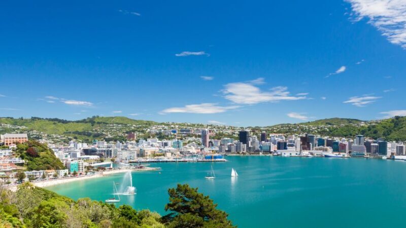 Wellington: Original LOTR Half-Day Experience with Weta - Key Points