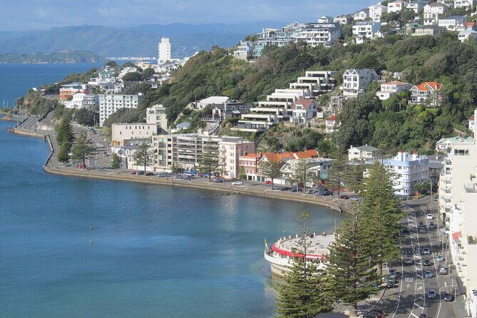 Wellington Private Day Tour with Door to Door Transfers - Who Will Love This Tour?
