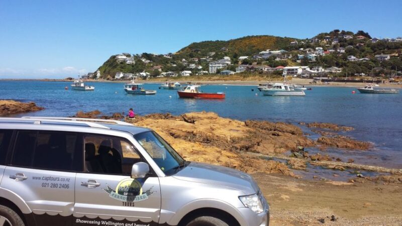 Wellington: Private Day Tour with Lunch - Exploring Wellington’s Highlights in Detail