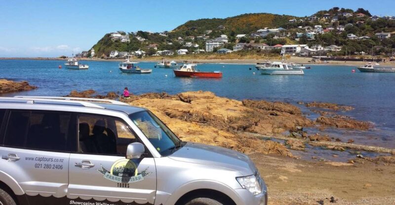Wellington: Private Day Tour with Lunch - Who Will Love This Tour?
