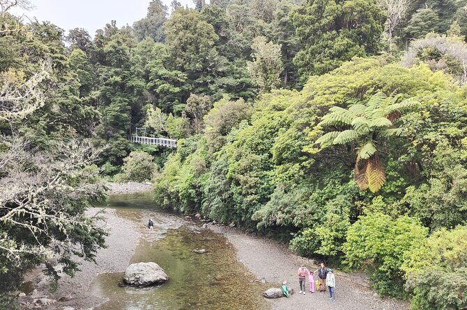 Wellington Region Full Day Private Tour: Get out of the City - Comfort and Convenience