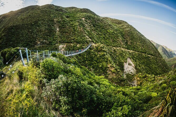 Wellington Remutaka Rail Trail eBike Cycle Tour - A Detailed Look at the Wellington Remutaka Rail Trail eBike Tour