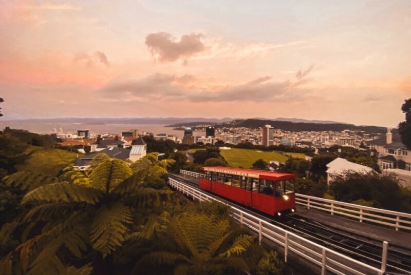Wellington: Return Cable Car Ticket - What You’ll See and Do at the Top