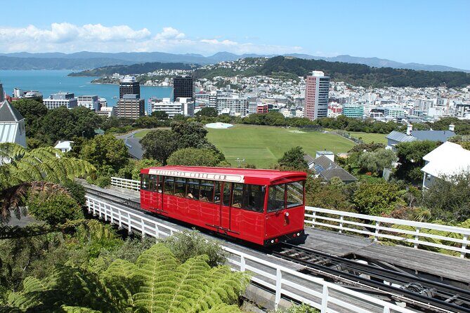 Wellington Scenic Full Day Tour - Experience Wellington in a Day: An In-Depth Review of the Scenic Full Day Tour