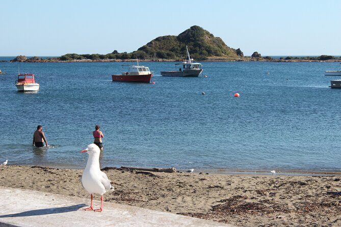 Wellington Scenic Full Day Tour - A Closer Look at the Itinerary